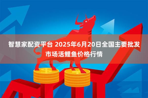 智慧家配资平台 2025年6月20日全国主要批发市场活鲤鱼价格行情